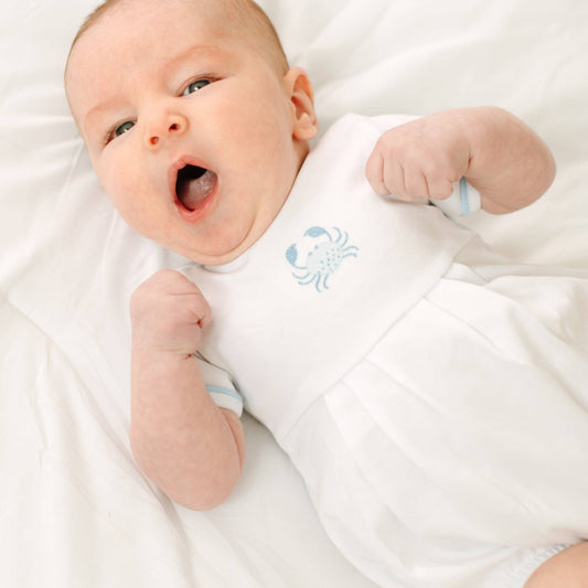 Little Crawlers Embroidered Bubble - Light Blue Magnolia Baby