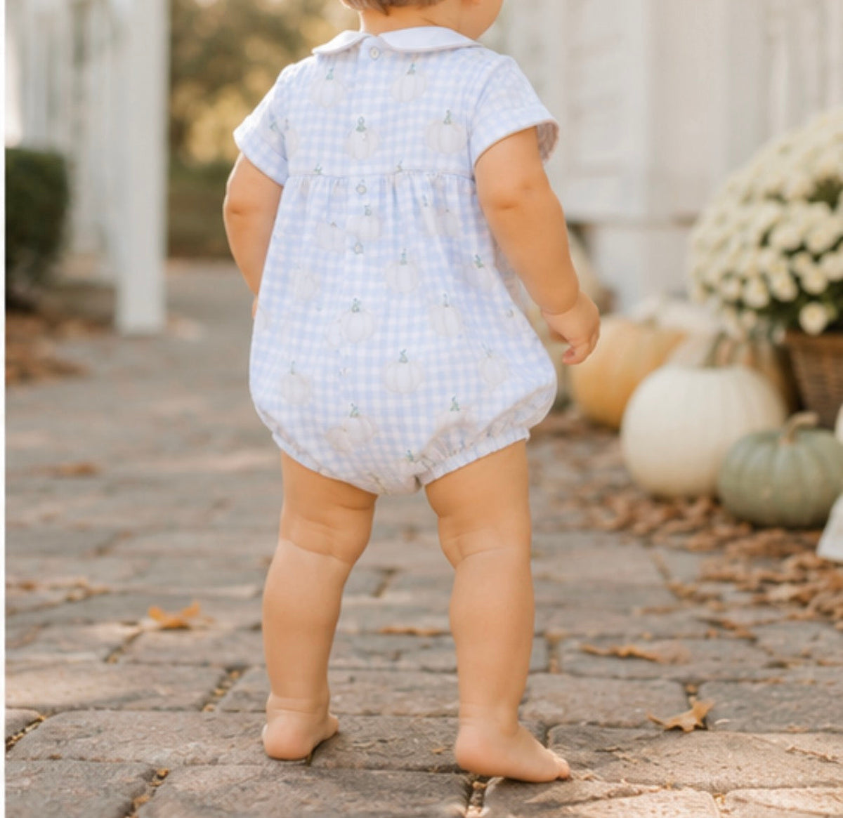 Hank Pumpkin Patch Plaid Bubble The Oaks Apparel Company