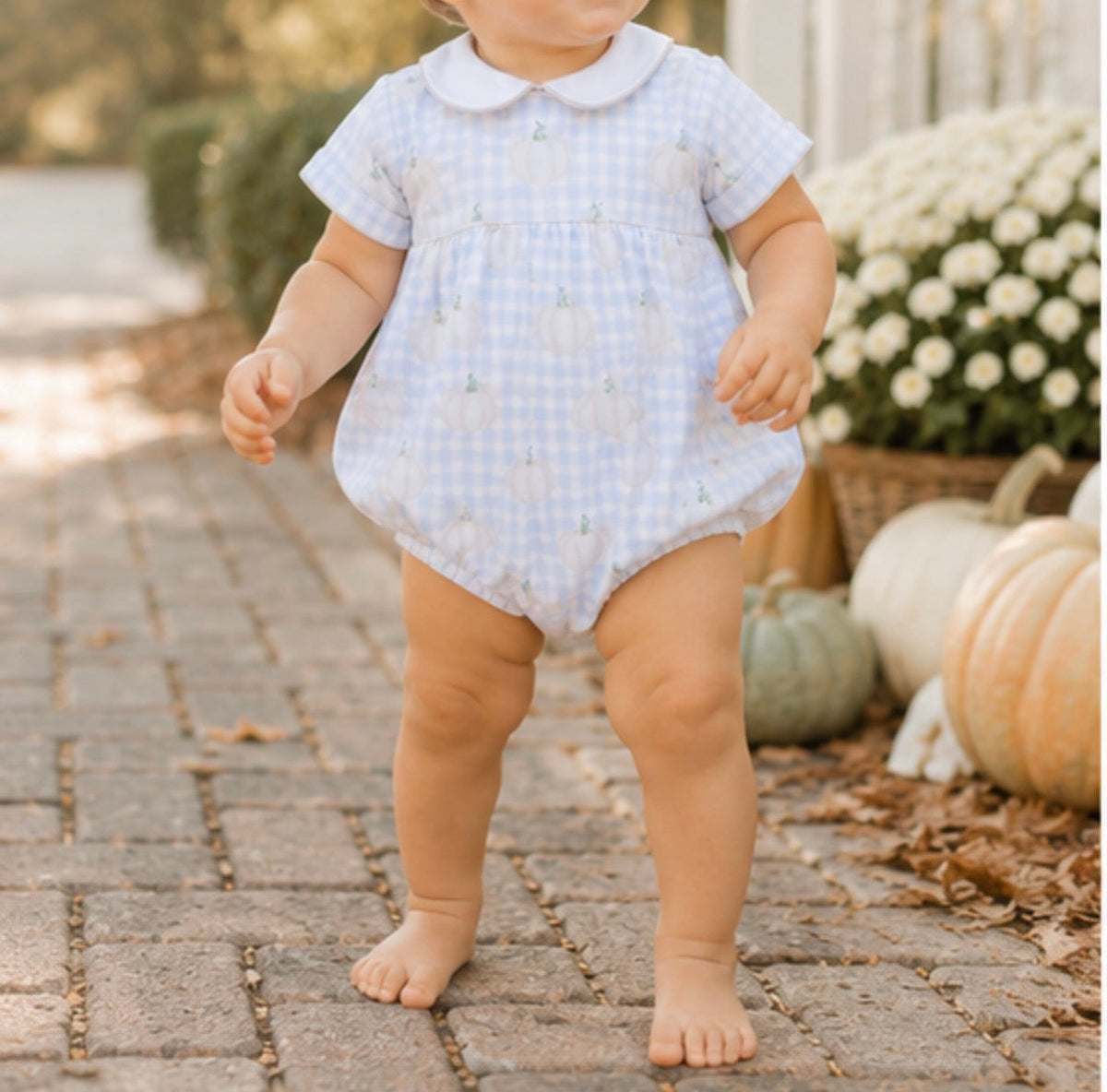 Hank Pumpkin Patch Plaid Bubble The Oaks Apparel Company