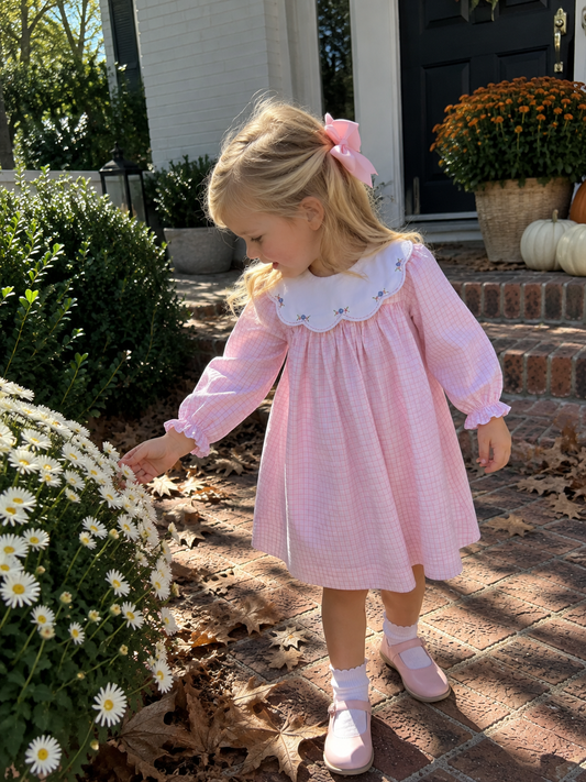 Embroidered Collar Pink Check Dress Petit Ami & Zubels