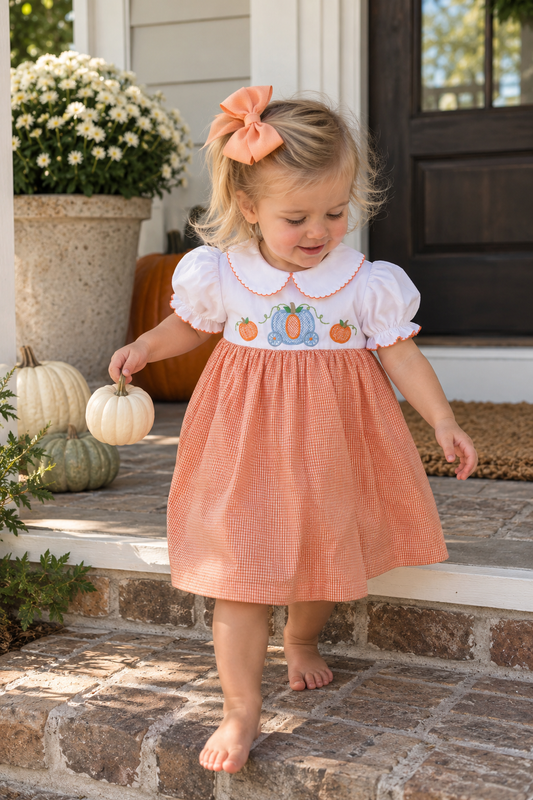 Pumpkin Carriage Embroidered Dress Petit Ami & Zubels