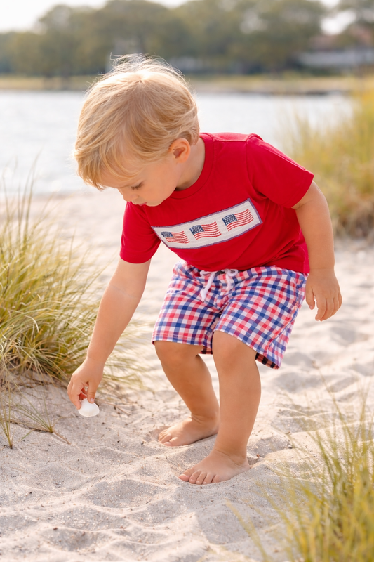 Boys Patriotic Plaid Flag Set Rylee Faith Designs