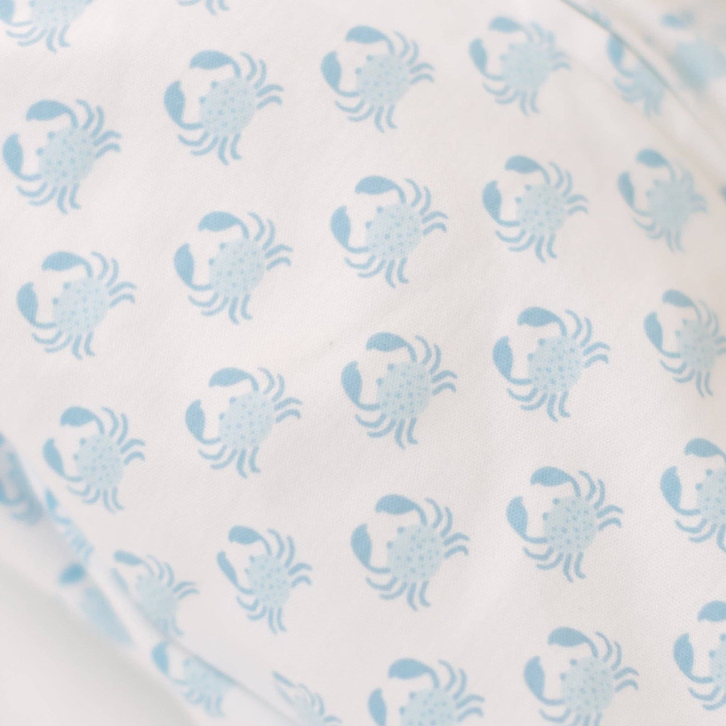 Little Crawlers Print Zip Footie - Light Blue Magnolia Baby